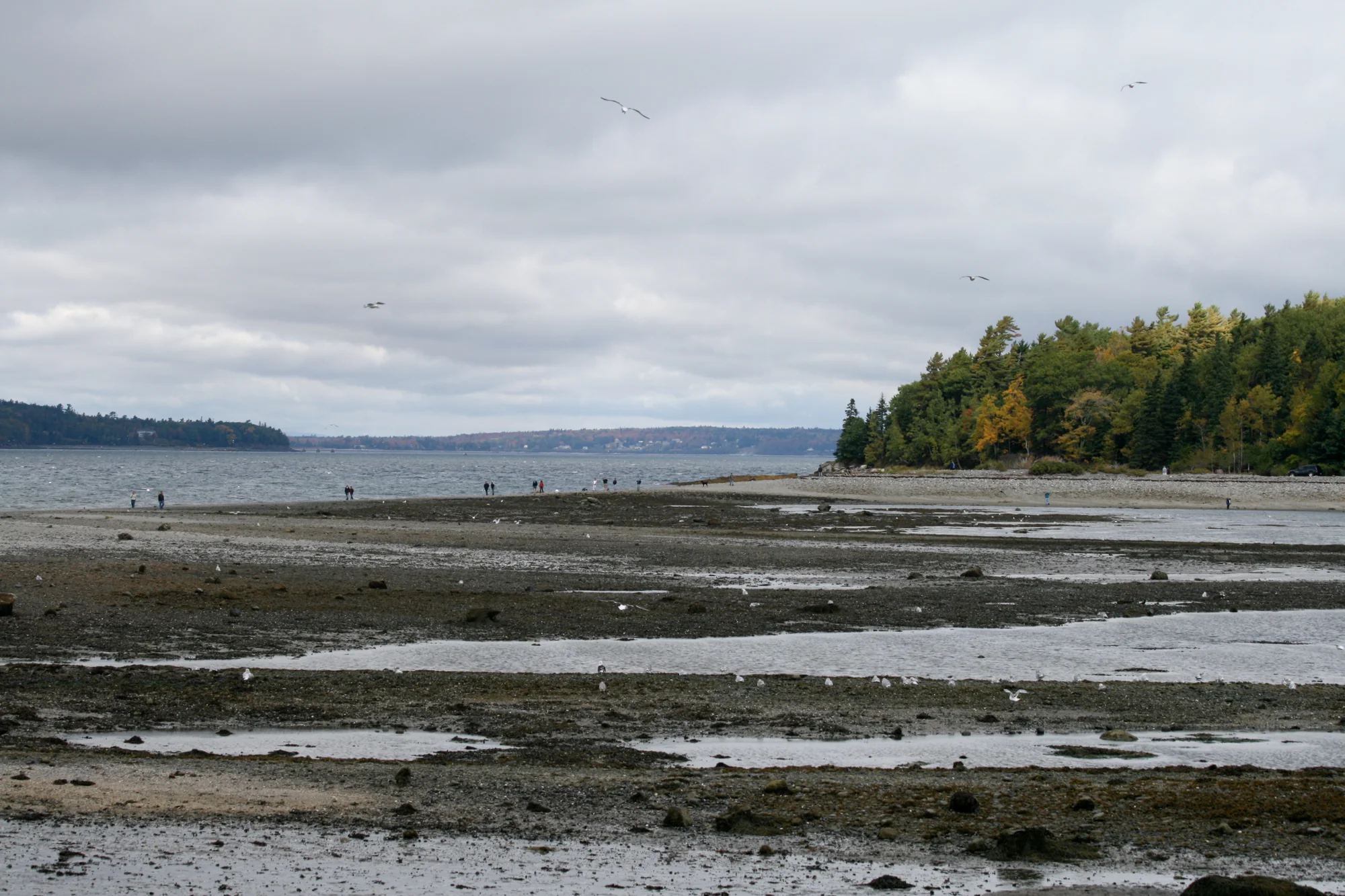 Tidal sandbar between Bar Harbor and Bar Island