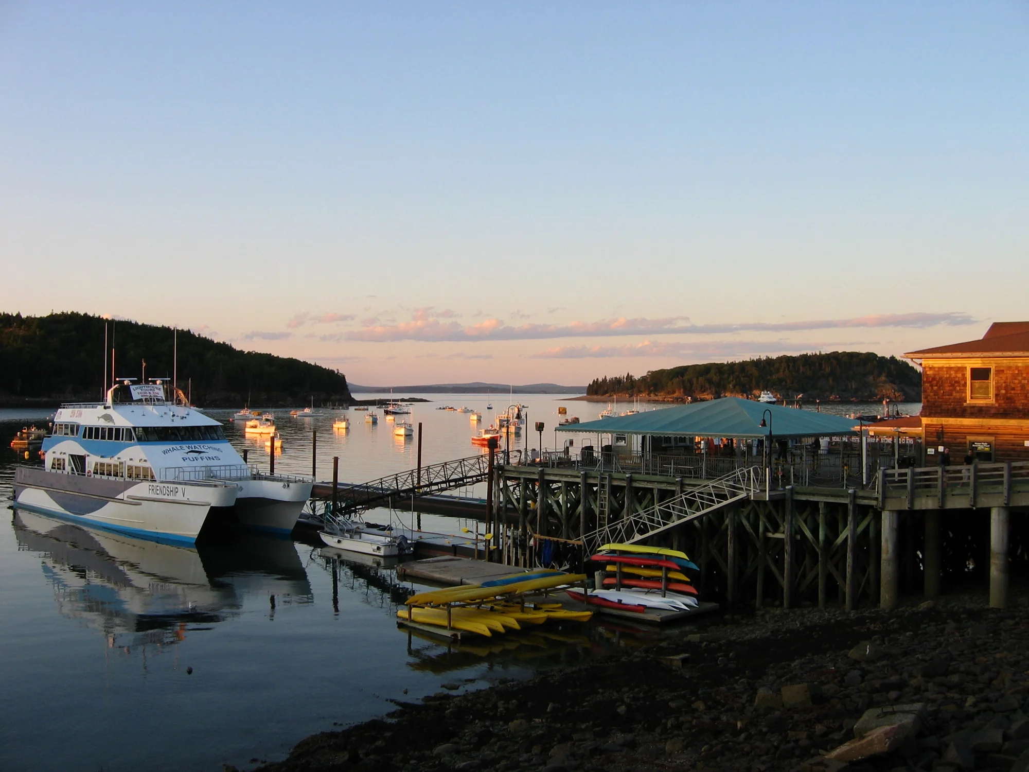 Boats at the dock in Bar Harbor